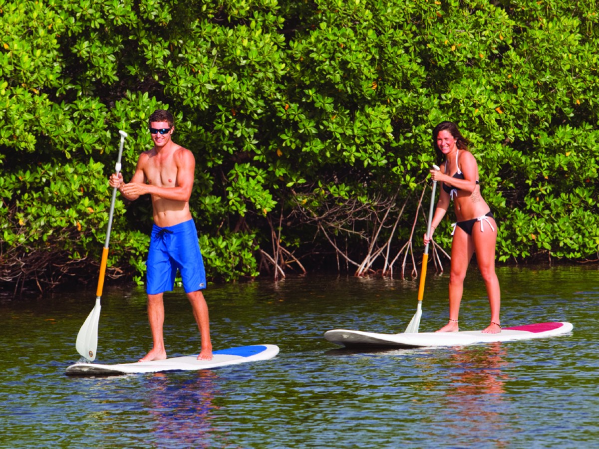a group of people that are standing in the water