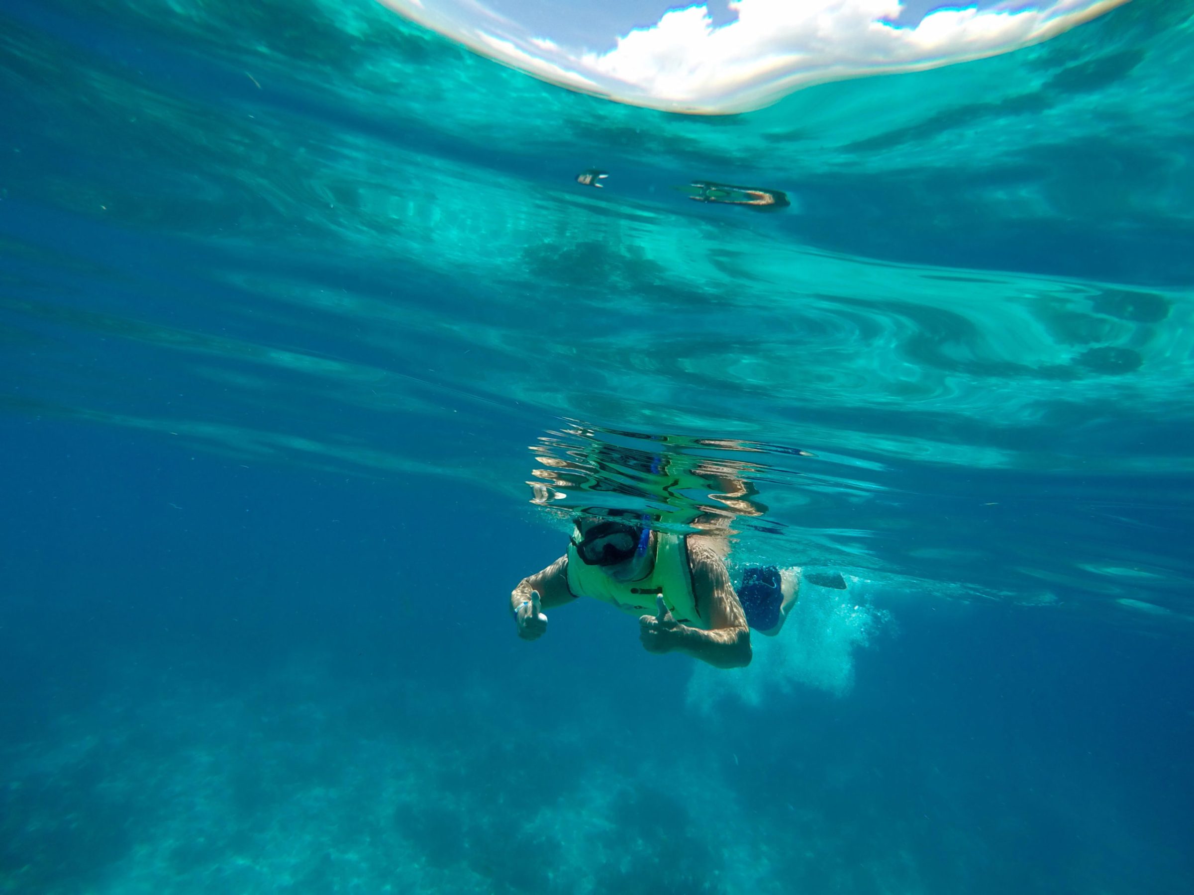 a group of people swimming in a body of water
